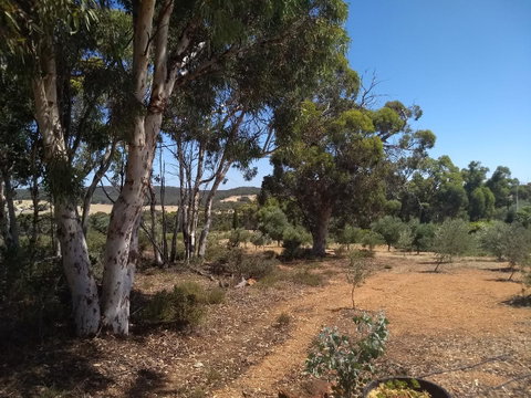 Hotham Ridge Estate - Perths Hotel 13