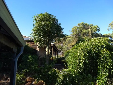 Hotham Ridge Estate - Perths Hotel 5