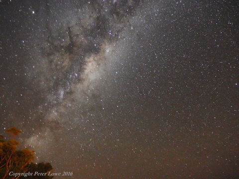 Riverside Retreat Chalets, Walpole - Perths Hotel 26
