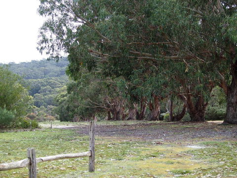 Riverside Retreat Chalets, Walpole - Perths Hotel 17