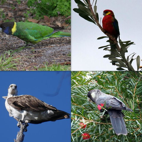 Riverside Retreat Chalets, Walpole - Perths Hotel 24