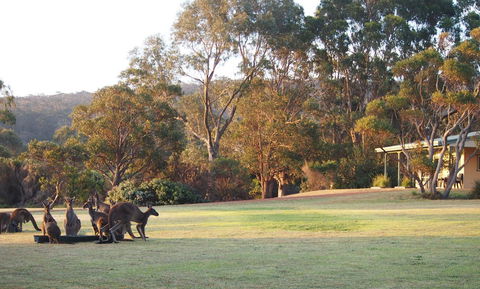 Riverside Retreat Chalets, Walpole - Perths Hotel 0