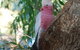 Midgard Cottage - Great Location & Close To Airport - thumb 35