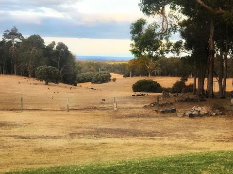 For The Birds Yallingup - Perths Hotel 28