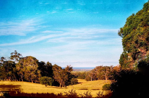 For The Birds Yallingup - Perths Hotel 27