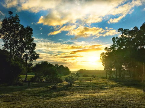 For The Birds Yallingup - Perths Hotel 23