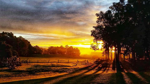 For The Birds Yallingup - Perths Hotel 26