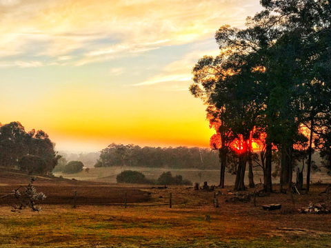 For The Birds Yallingup - Perths Hotel 24