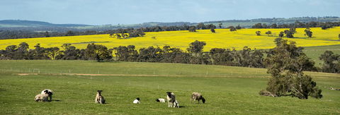Kendenup Cottages And Lodge - Perths Hotel 44