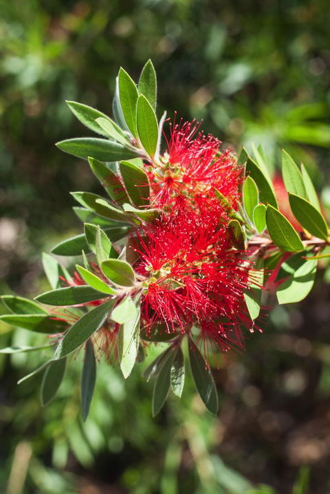 Banksia Tourist Park - Perths Hotel 26