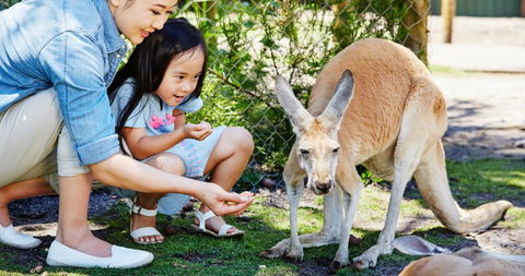 Banksia Tourist Park - Perths Hotel 29