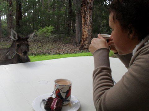 Yelverton Brook Conservation Sanctuary - Perths Hotel 44