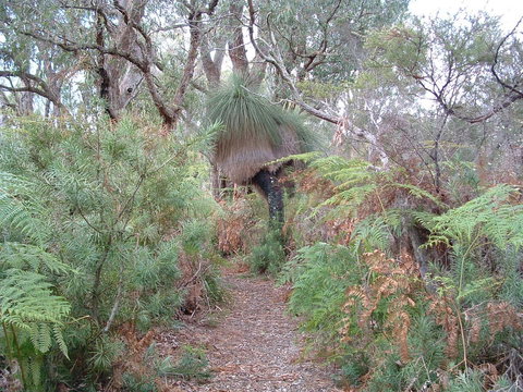 Yelverton Brook Conservation Sanctuary - Perths Hotel 41