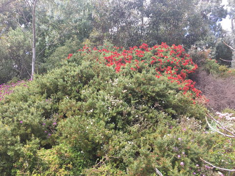 Tegwan's Nest Holiday Home - Perths Hotel 42
