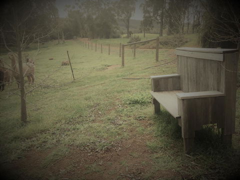 Tegwan's Nest Holiday Home - Perths Hotel 43