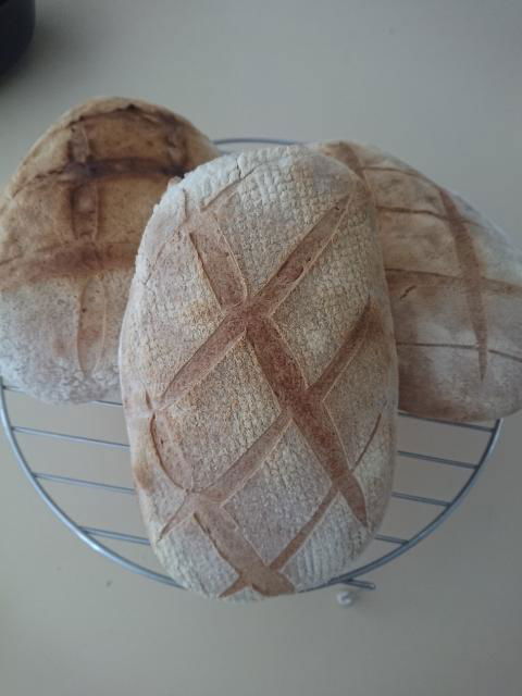 Margaret River Retreat - Perths Hotel 1