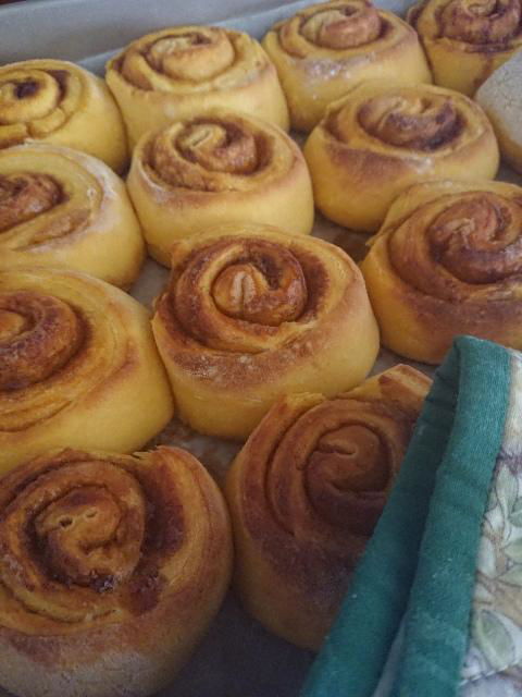 Margaret River Retreat - Perths Hotel 3