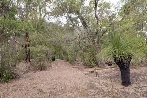 53 Martina Drive - Perths Hotel 30
