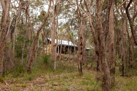 Denmark Forest Retreat - Perths Hotel 27