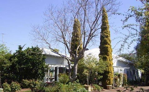 Jacaranda Guest House - Perths Hotel 37