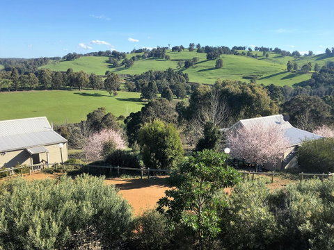 Balingup Highview Chalets - Perths Hotel 5