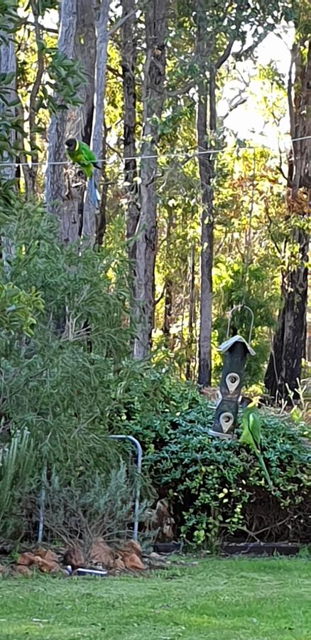 Di's Cabin In Dwellingup - Perths Hotel 6