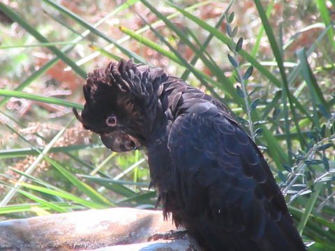 Di's Cabin In Dwellingup - Perths Hotel 24