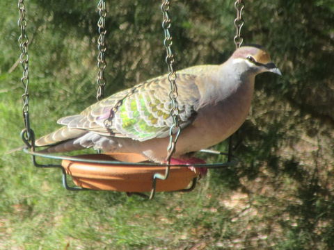 Di's Cabin In Dwellingup - Perths Hotel 25