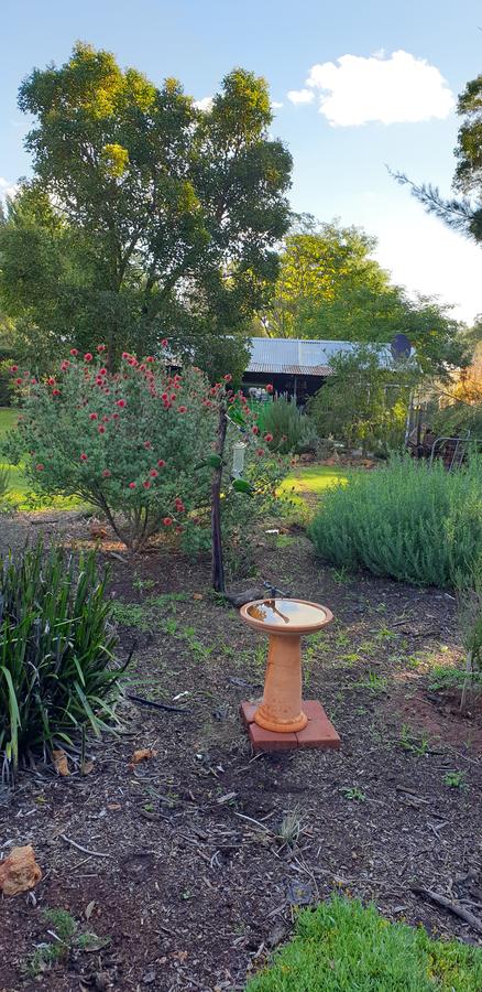 Di's Cabin In Dwellingup - Perths Hotel 14