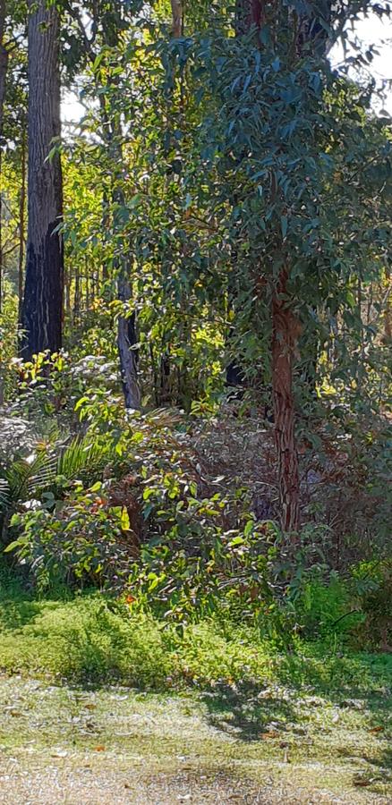 Di's Cabin In Dwellingup - Perths Hotel 8