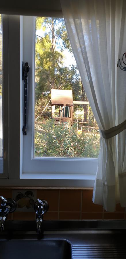 Di's Cabin In Dwellingup - Perths Hotel 15