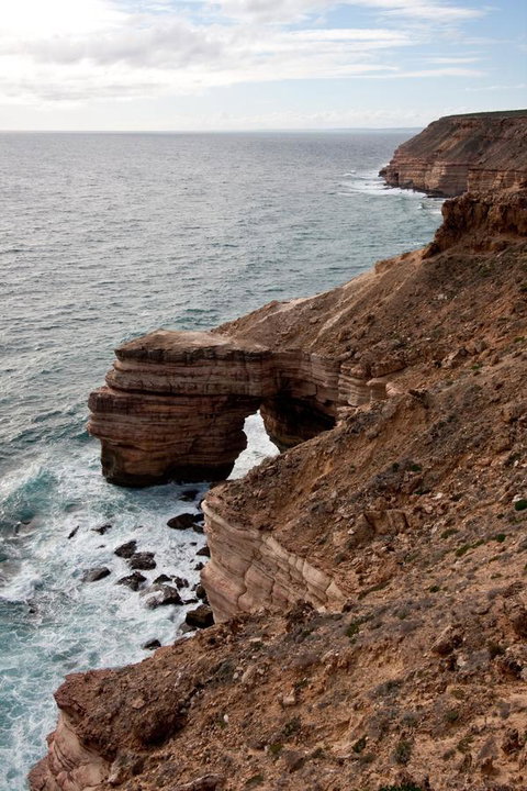 Kalbarri Palm Resort - Perths Hotel 32