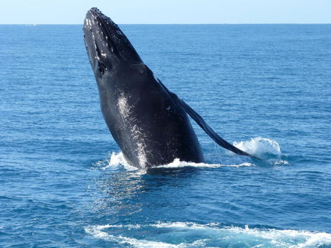 Sienna Lodge - Perths Hotel 35