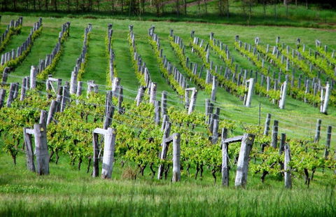 Sienna Lodge - Perths Hotel 13