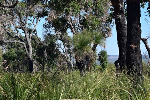 Eagle Bay House - Perths Hotel 32