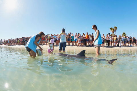 RAC Monkey Mia Dolphin Resort - Perths Hotel 2