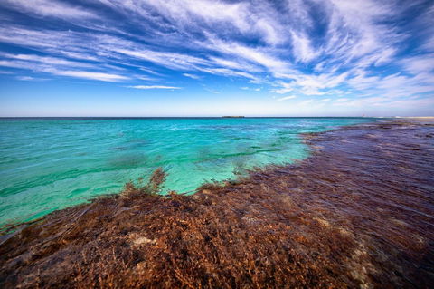 Discovery Resorts - Rottnest Island - Perths Hotel 24