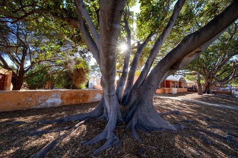 Discovery Resorts - Rottnest Island - Perths Hotel 23