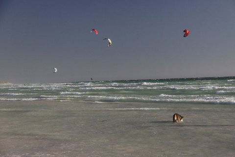 Dongara Tourist Park - Perths Hotel 33