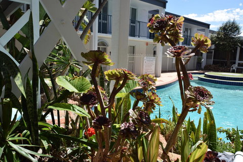 West Beach Lagoon 213 - Corner Unit! - Perths Hotel 12