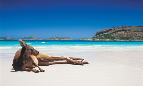 Esperance YHA - Perths Hotel 14