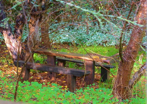 Black Cockatoo Lodge - Perths Hotel 44