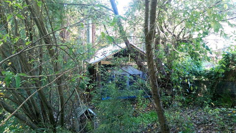 Black Cockatoo Lodge - Perths Hotel 22