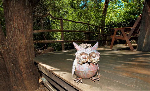 Black Cockatoo Lodge - Perths Hotel 8