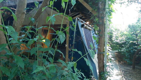 Black Cockatoo Lodge - Perths Hotel 13