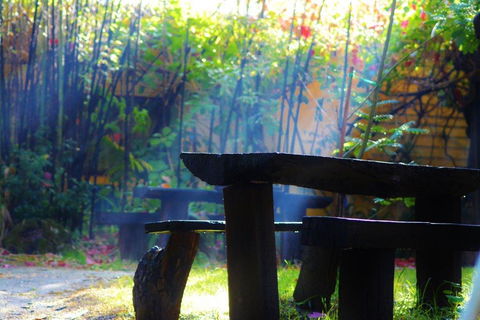 Black Cockatoo Lodge - Perths Hotel 43