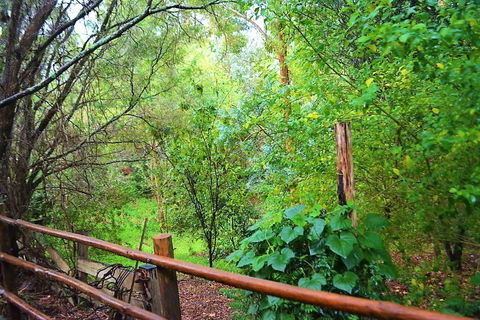 Black Cockatoo Lodge - Perths Hotel 28