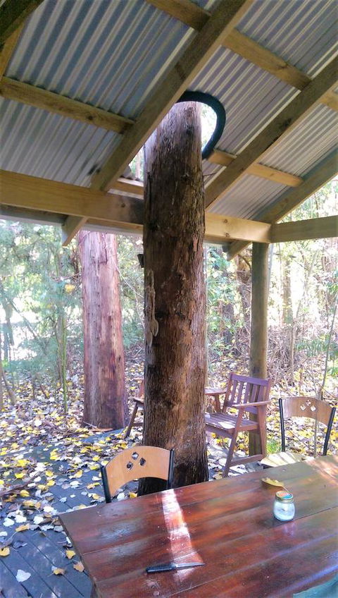 Black Cockatoo Lodge - Perths Hotel 19