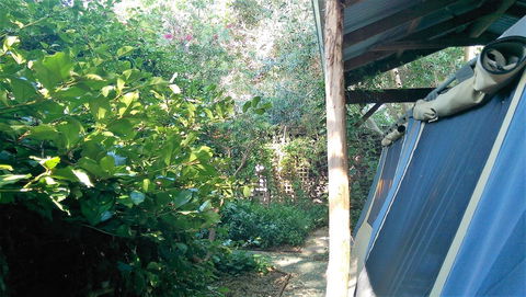 Black Cockatoo Lodge - Perths Hotel 12