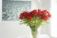Book Kingston Beach Accommodation Vacations Perths Hotel Perths Hotel